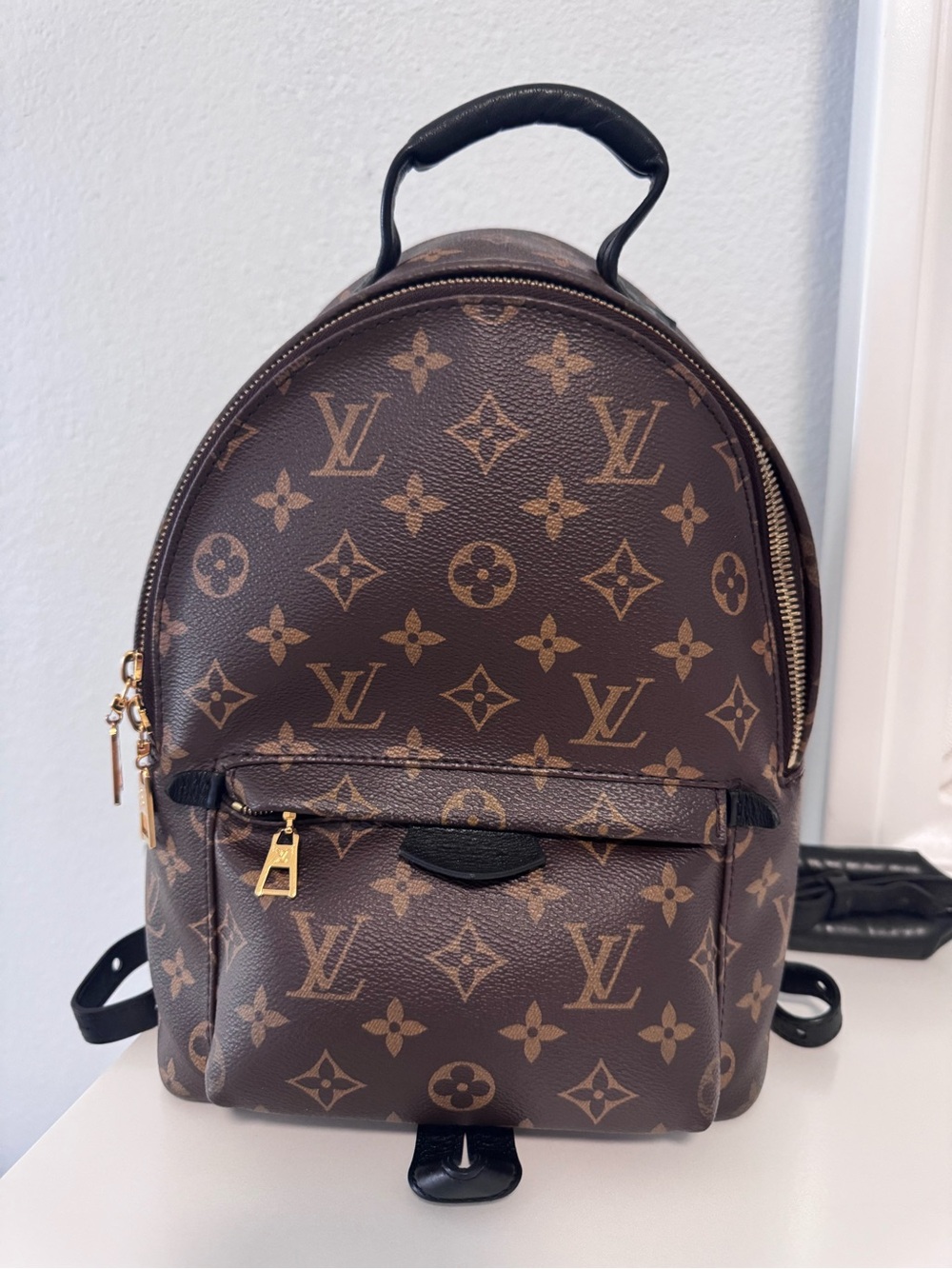Louis Vuitton Monogram Palm Spring Backpack PM